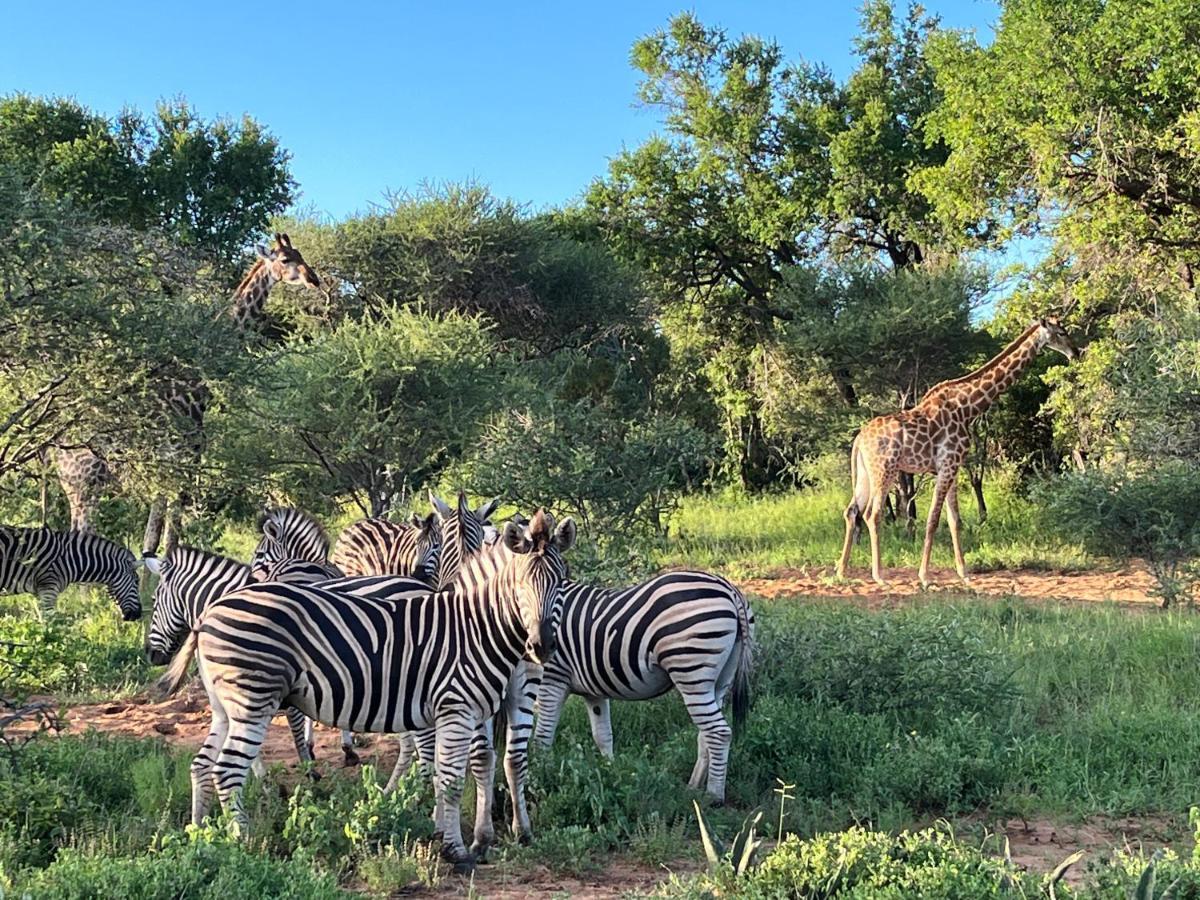 Lindiwe Safari Lodge Hoedspruit Bagian luar foto